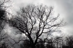 Same Place - Aidan Deery